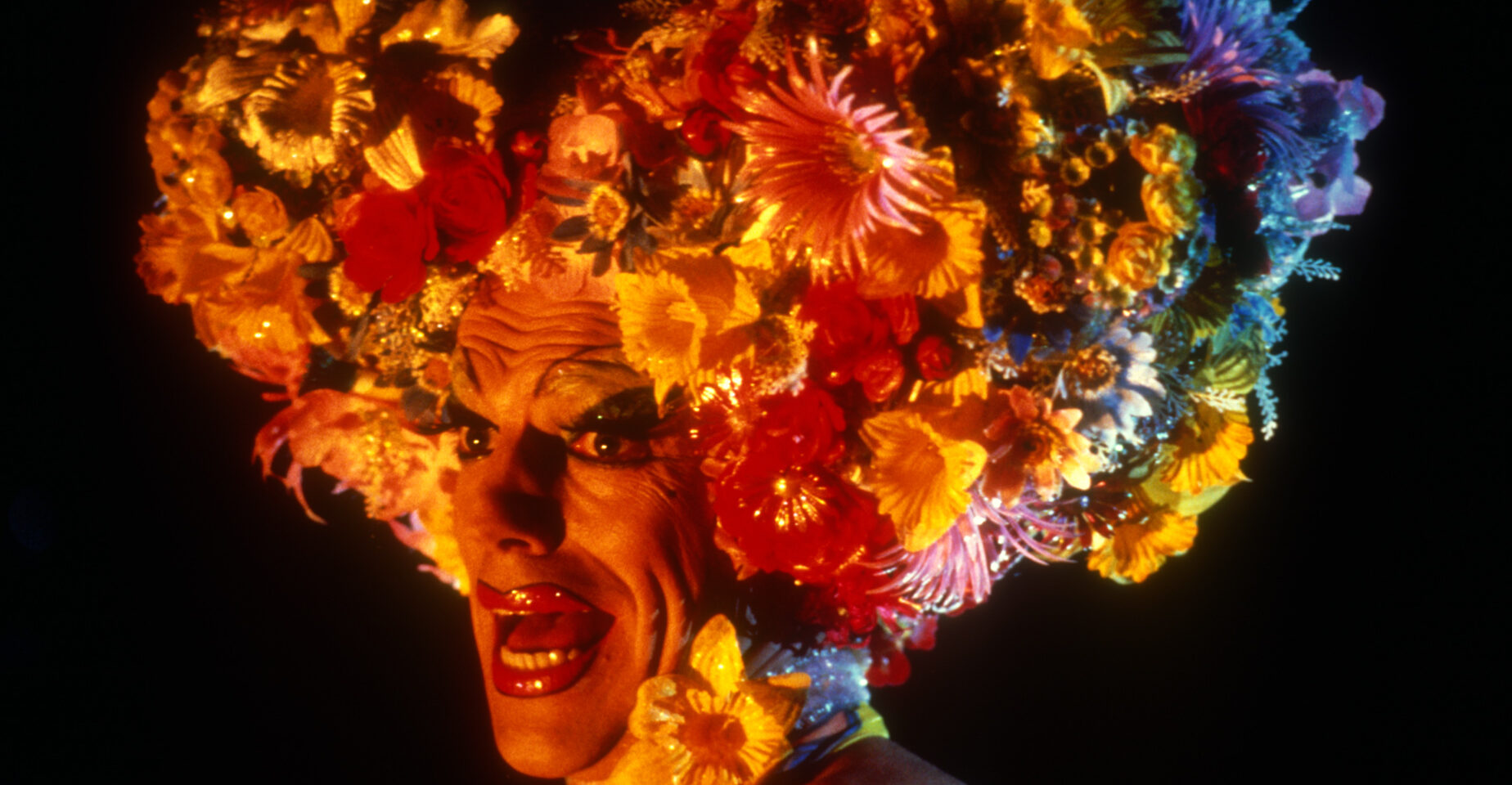 Hugo Weaving, Priscillia, folle du désert