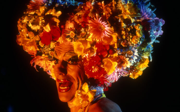 Hugo Weaving, Priscillia, folle du désert