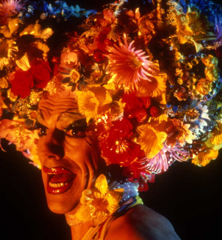 Hugo Weaving, Priscillia, folle du désert