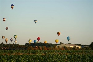 ballons au dessus des vignes