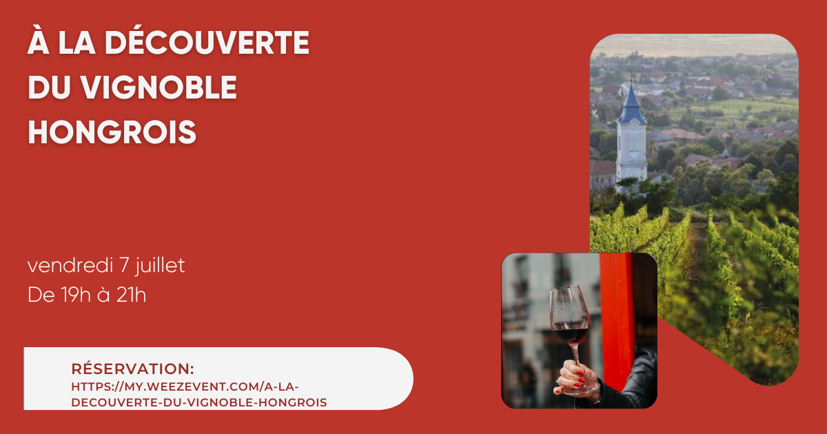 Dégustation de vins hongrois Paris